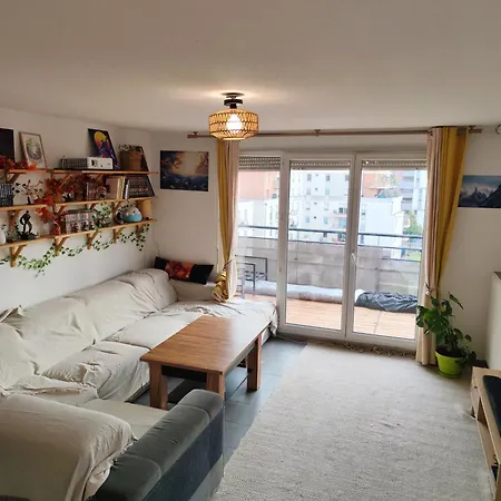 Cosy, Calme Et Lumineux A Daire Strazburg