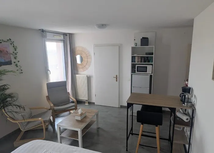 Cosy, Calme Et Lumineux A شقة ستراسبورغ